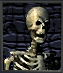 szkielet